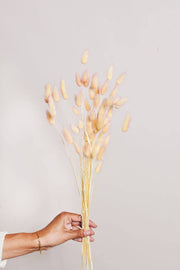 Idlewild Floral Co. - Preserved Two Tone Apricot Bunny Tail: A hand holds a bunch of elegantly preserved yellow flowers, ideal for timeless home decor.