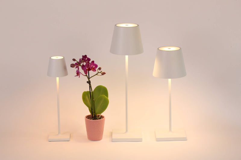 Zafferano America - Poldina Pro Micro Cordless Lamp: White, displayed among indoor plants, showcasing its sleek design and touch dimming feature for versatile lighting.