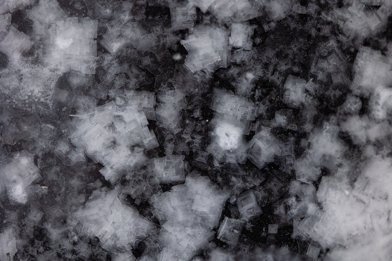 San Juan Island Sea Salt | French Fry Seasoning Blend