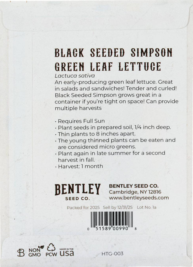 Bentley Seed Co. - Lettuce-Black Seed Simpsons Curled 1885 packet, showcasing heirloom lettuce ideal for fresh salads, with planting instructions and non-GMO certification.