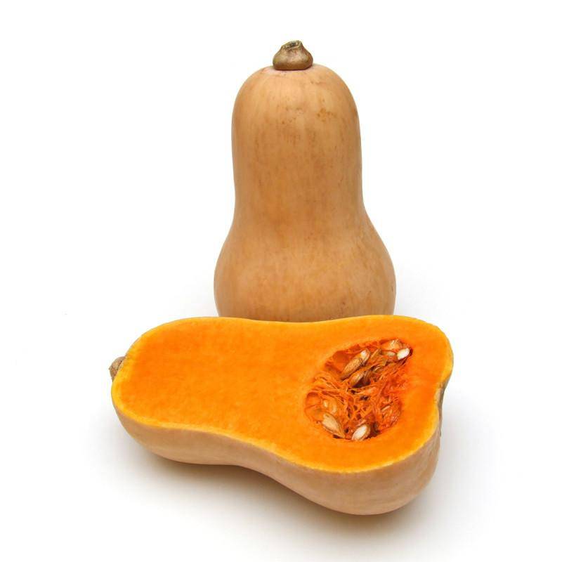 Bentley Seed Co. - Squash-Butternut Waltham 1939: Two butternut squashes, one whole and one halved, showcasing vibrant orange flesh and seeds, ideal for culinary use.
