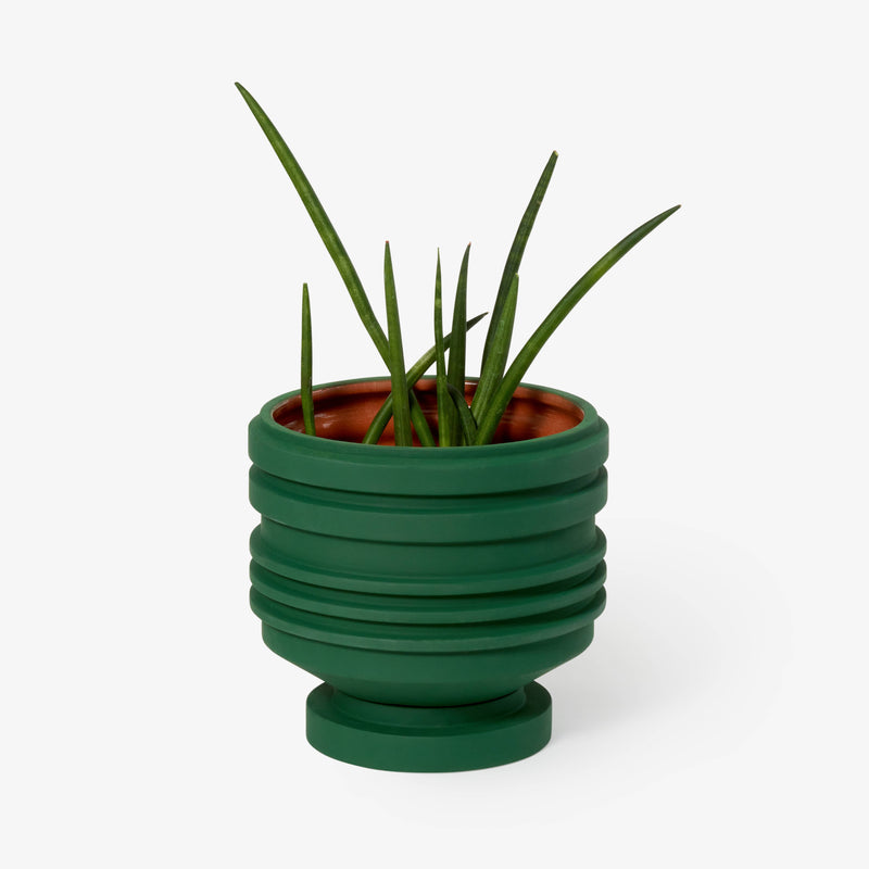 Areaware - Strata Plant Vessel: Green, a sculptural ceramic planter with layered design, inspired by Simone Brewster, showcasing a green plant, ideal for home decor.