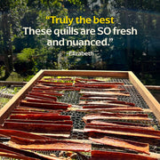 Diaspora Co. Spices - Wild Cinnamon Quills displayed on a wooden tray, showcasing aromatic, hand-harvested quills from Sri Lanka's organic Eko Land community.