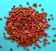 Spicewalla | Pink Peppercorns.