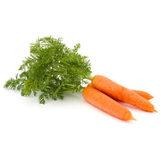 Bentley Seed Co. - Carrot-Nantes 1870: Fresh bunch of Nantes carrots with leafy tops, ideal for container gardening, laid on a plain white background.