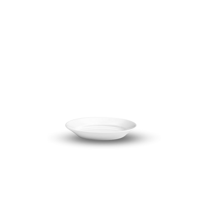 Pillivuyt | Oval Turkey Serving Platter