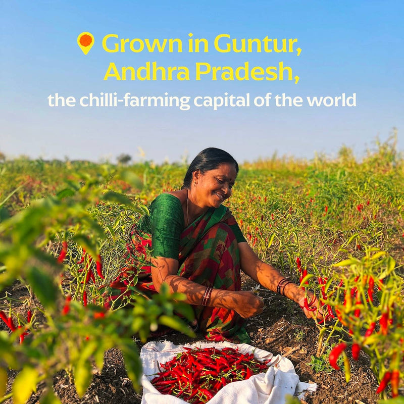 Diaspora Co. Spices - Guntur Sannam Chilli, featuring a woman in a pepper field, highlighting sustainable farming in Guntur, Andhra Pradesh.