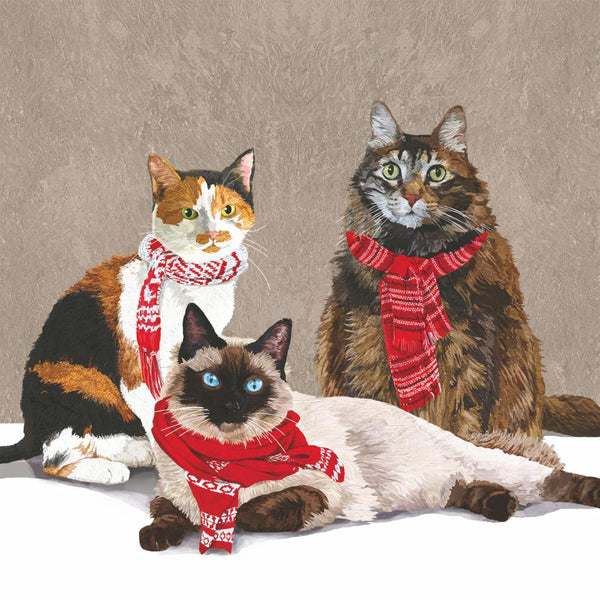 Paperproducts Design | Scarf Cats