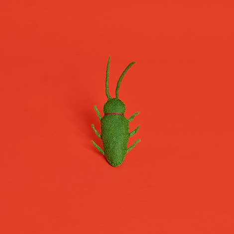 Ware of the Dog - Wool Bug Cat Toy, a grasshopper-shaped, fuzzy, turf-like decor, crafted from natural wool and catnip, designed for playful pouncing and batting.