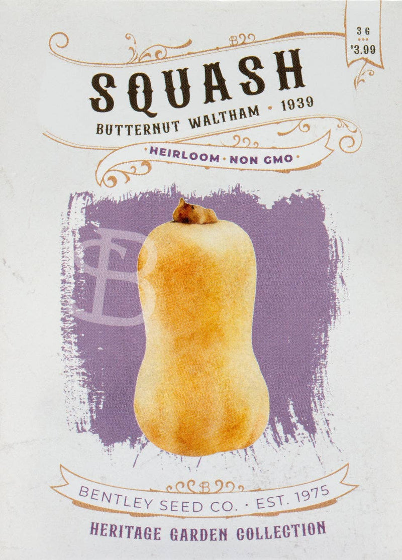 Bentley Seed Co. - Squash-Butternut Waltham 1939 seed packet; heirloom, non-GMO variety, ideal for soups and casseroles, part of the “Heritage Garden Collection”.