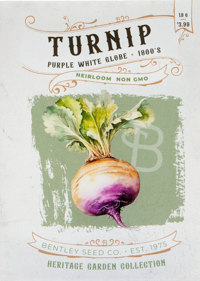 Bentley Seed Co. - Turnip-Purple White Globe 1800's seed packet, showcasing a vintage-style illustration of an heirloom turnip with leafy tops from Bentley Seed Co.'s Heritage Garden Collection.