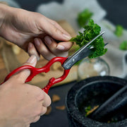 Zwilling | Multi-Purpose Kitchen Shears.