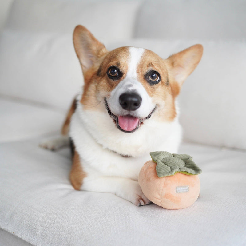 Ware of the Dog | Boiled Wool Donut Dog Toy, Strawberry
