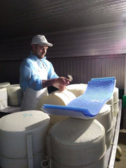 Nicola's Marketplace - Genuine Fulvi® Pecorino Romano DOP: 7 Ounces, showcased in a cheese-making room with a man handling fresh cheese wheels, emphasizing its artisanal origin.