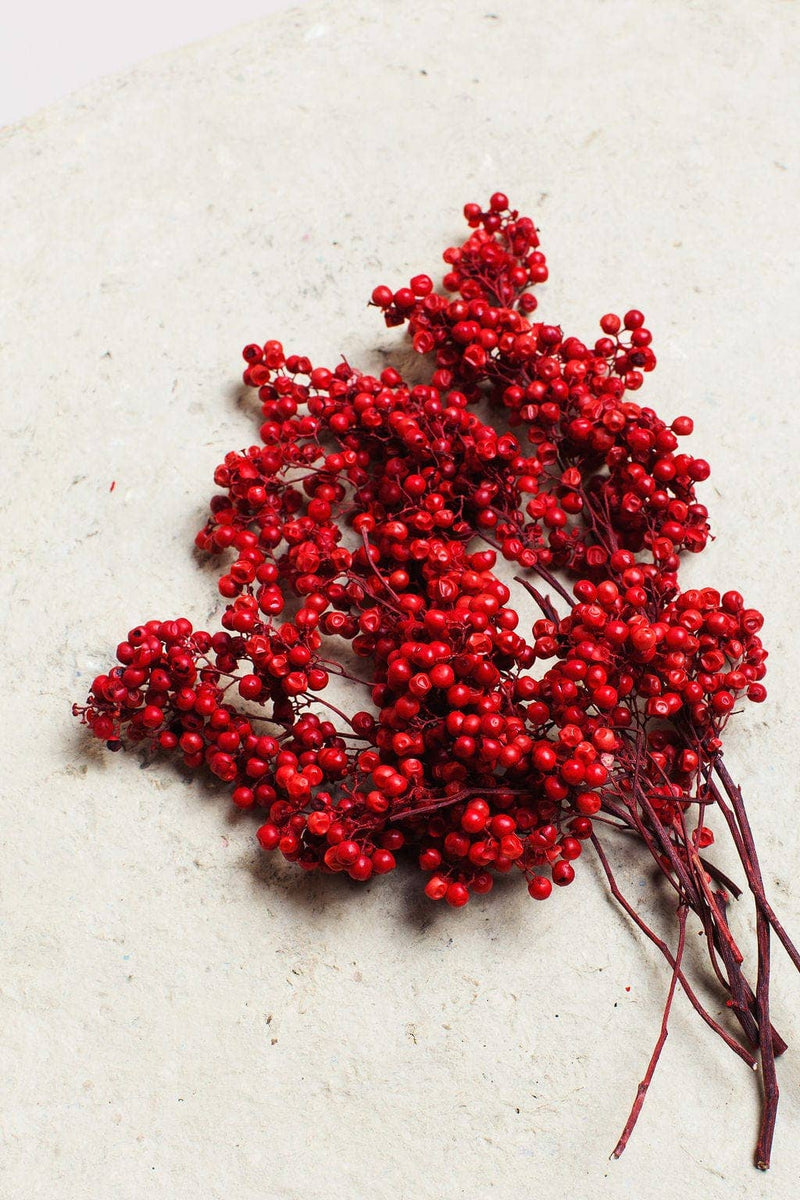 Idlewild Floral Co. | Preserved Red Pepperberry