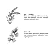 Slow North - Lavender + Cedar - Signature 3-Wick Non-Toxic Candle, featuring hand-drawn lavender and cedar sprigs, ideal for creating a serene retreat with natural fragrances.