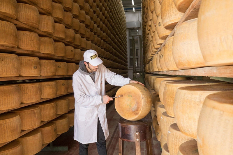 Worker inspecting Parmigiano Reggiano DOP Mitica® 36 months: 7 Ounces in a cheese-aging cell at Athens Cooks, showcasing its artisanal quality and origin.