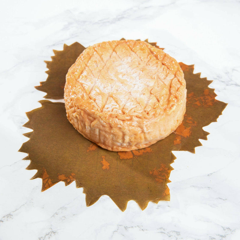 Formaticum Cheese Board Liners, French-made parchment with grape leaf design, ideal for elegant cheese displays; eco-friendly, wax-coated for easy cleaning and reuse.