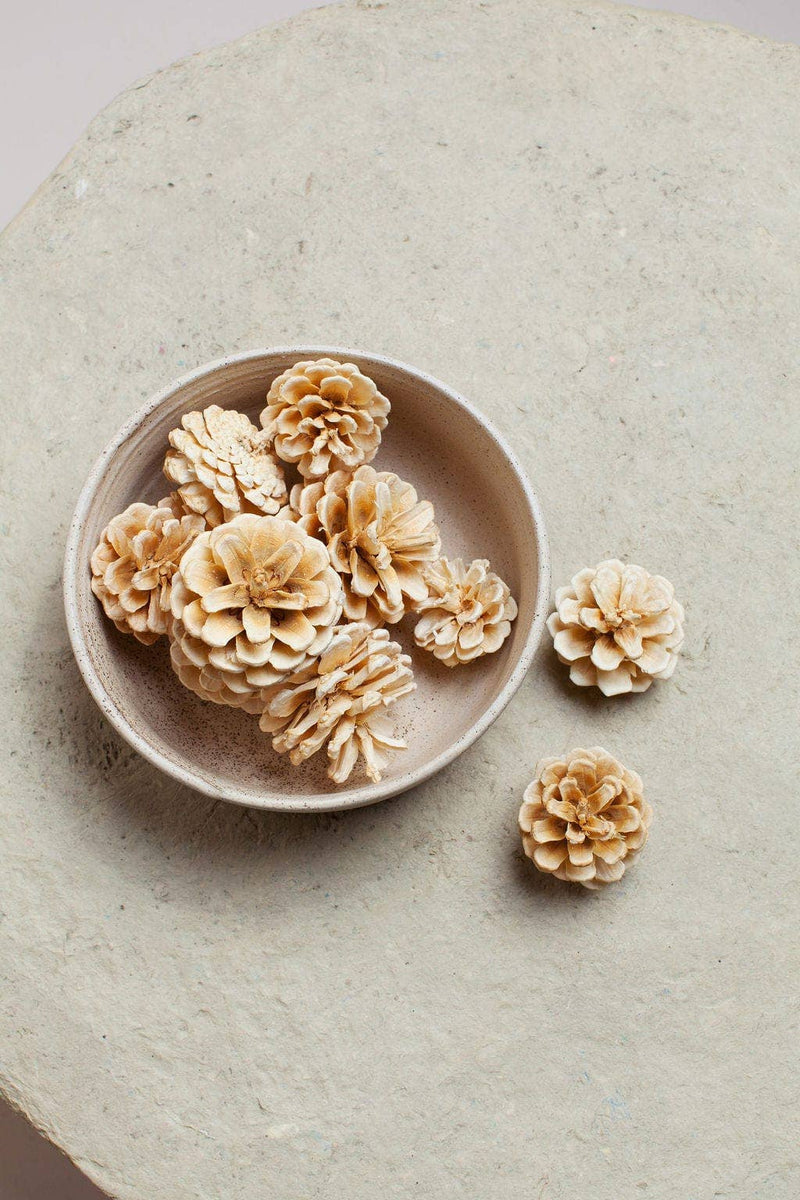 Idlewild Floral Co. | White Pinecones
