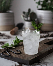 Farmhouse Pottery - Farmhouse Glasses: Set of 6 - Small, showcased with a cold drink and mint, embodying luxury and practicality in borosilicate glass, perfect for any kitchen.
