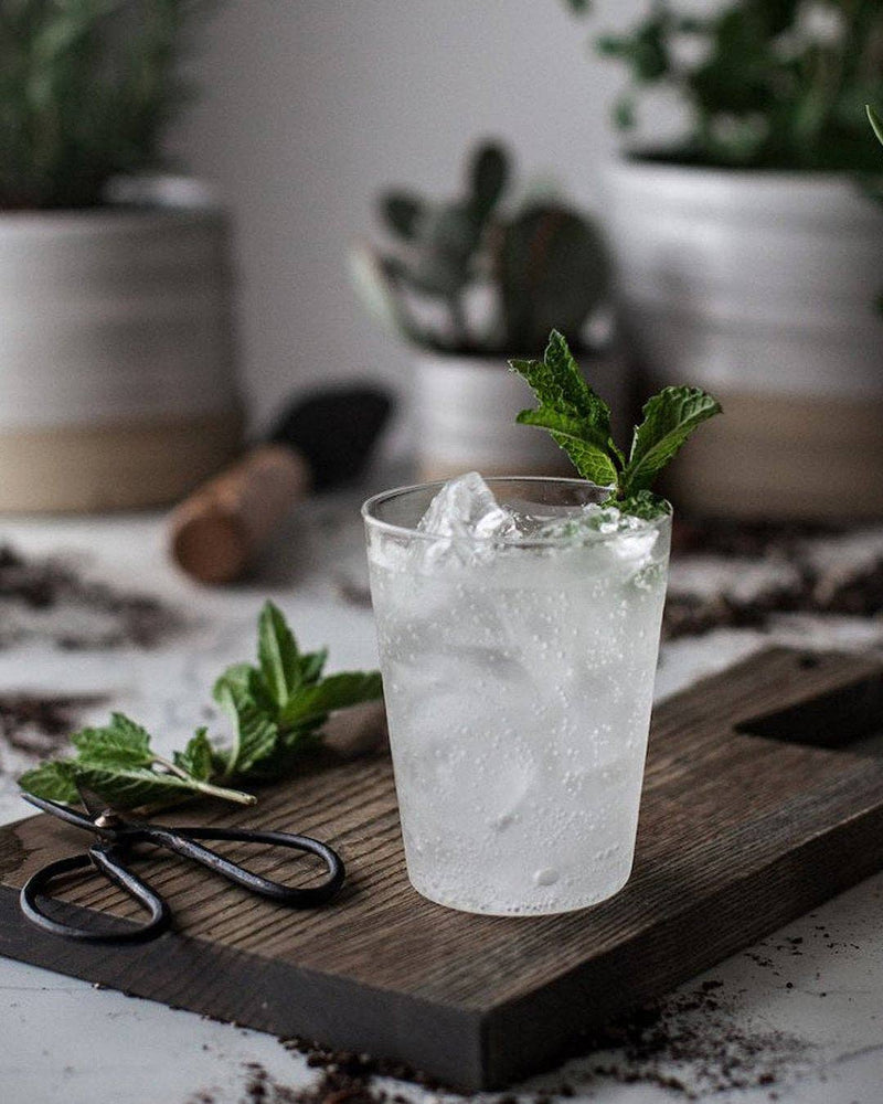 Farmhouse Pottery - Farmhouse Glasses: Set of 6 - Small, showcased with a cold drink and mint, embodying luxury and practicality in borosilicate glass, perfect for any kitchen.