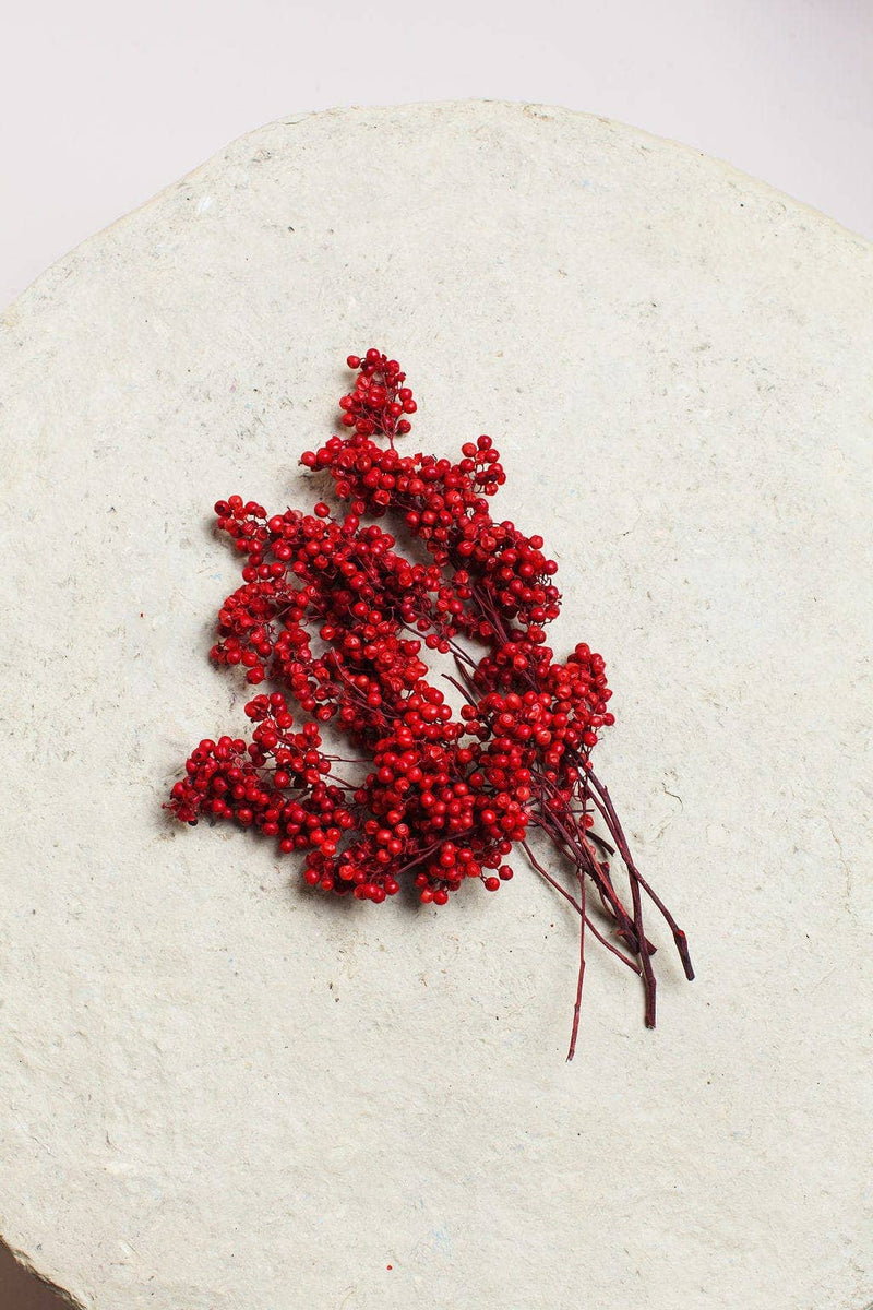 Idlewild Floral Co. | Preserved Red Pepperberry