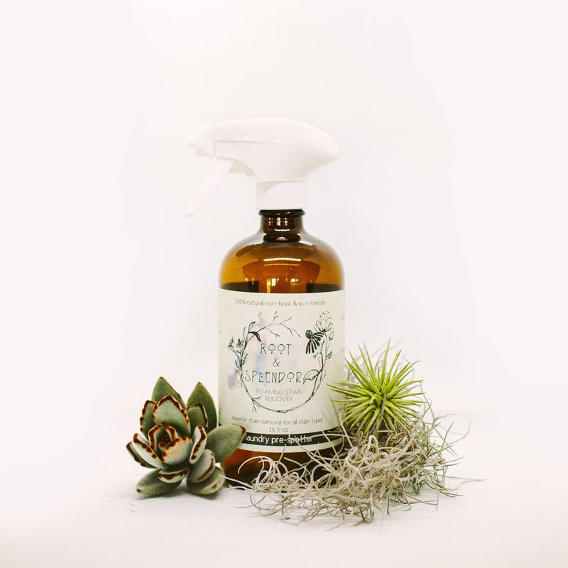 Root & Splendor | Foaming Stain Remover - Fiber (Full) bottle beside a succulent plant, emphasizing eco-friendly packaging and natural stain-removing power.