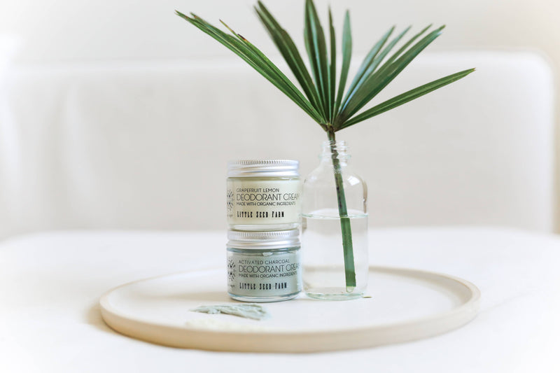 Little Seed Farm deodorant creams, Grapefruit Lemon and Activated Charcoal, on a tray with a palm leaf in a bottle; nourishing, organic skincare essentials.