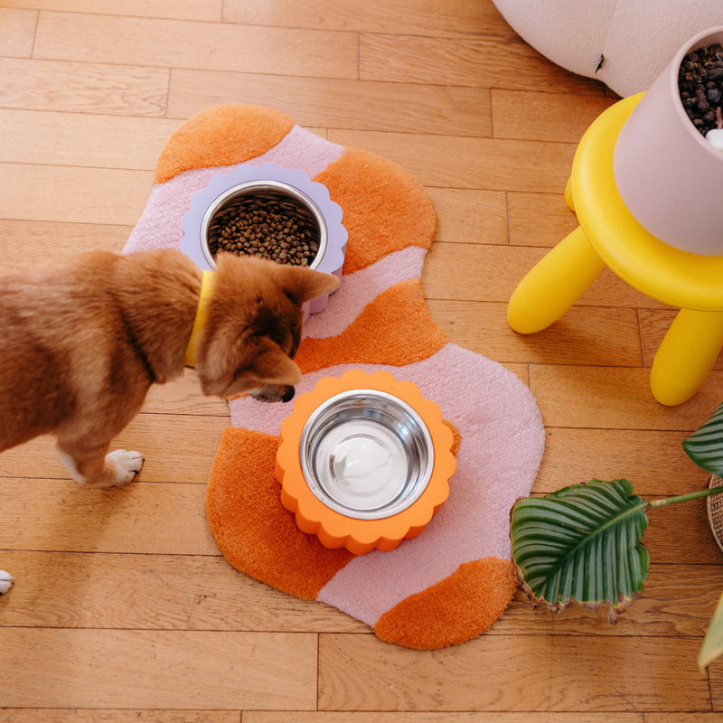 Oscar & co - Dog bowl in the shape of a daisy: Blue / S