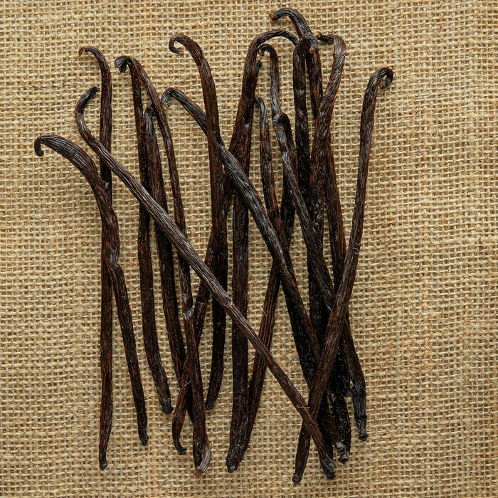 Burlap & Barrel | Nyanza Vanilla Extract Kit.