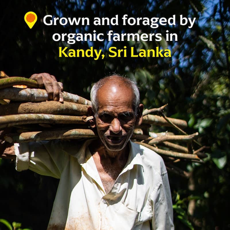 Elderly man with cut branches; promoting Diaspora Spices Co. - Peni Miris Cinnamon (Powder), a unique, single-origin spice from organic farmers in Kandy, Sri Lanka.