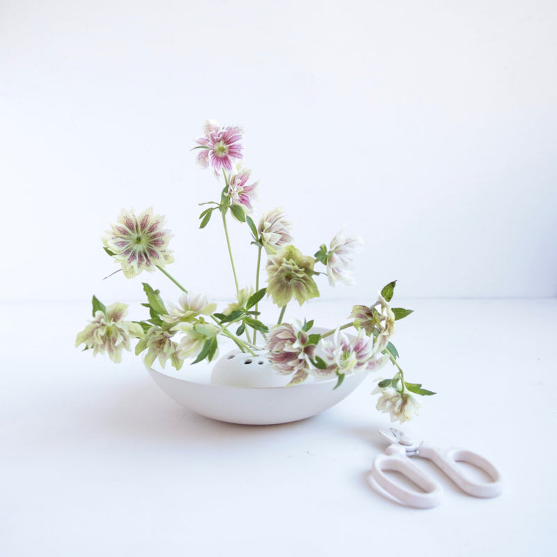 The Floral Society | Ceramic Flower Frog Bowl