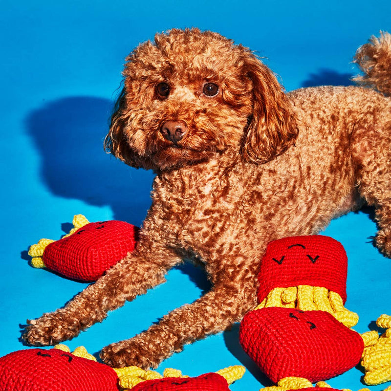 Small, curly-coated brown dog on blue surface surrounded by Ware of the Dog - Hand Knit French Fries Dog Toys, showcasing fair-trade craftsmanship from Nepal.