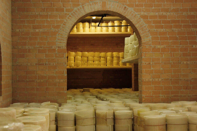 Nicola's Marketplace - Genuine Fulvi® Pecorino Romano DOP: 7 Ounces, aging in a rustic cheese cellar with shelves full of cylindrical cheese wheels in Lazio, Italy.