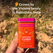 Diaspora Spices Co. - Jodhana Cumin (Whole Seeds): 45g tin held in hand, sourced from Rajasthan, India, showcasing single-origin cumin grown by Vishnoi family.