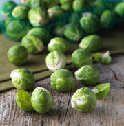 Bentley Seed Co. - Brussel Sprouts-Long Island 1890's seeds with fresh Brussels sprouts scattered on a wooden surface, mesh produce bag in background.