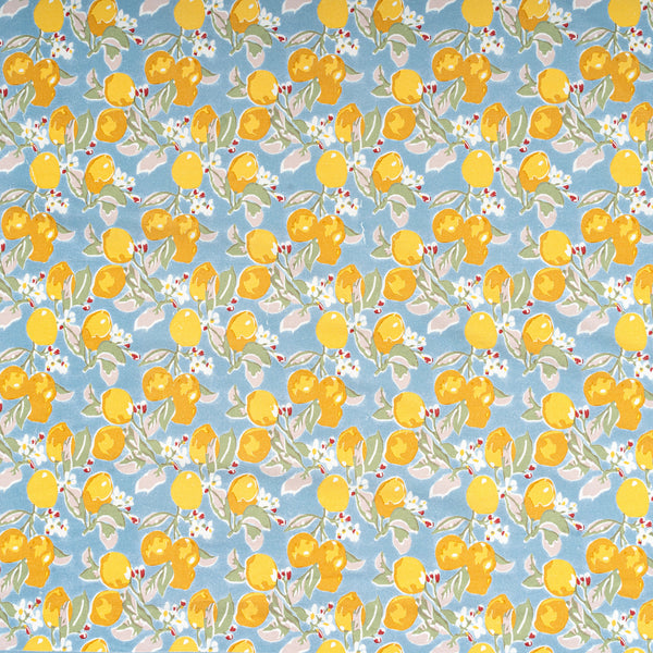 Couleur Nature | Citron Tablecloth, Bleu & Yellow