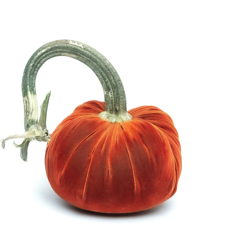 Hot Skwash | Silk Velvet Pumpkin - Jumbo, features a handcrafted, luxurious bronze velvet design with a unique, naturally sourced pumpkin stem, adding elegance to any decor.