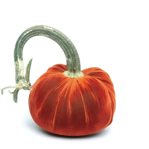 Hot Skwash | Silk Velvet Pumpkin - Jumbo, features a handcrafted, luxurious bronze velvet design with a unique, naturally sourced pumpkin stem, adding elegance to any decor.