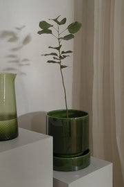 Bergs Potter | Hoff Glazed Collection - 5.5 in-14 cm - Emerald Green - Pot, showcasing Scandinavian design with terracotta and glazed saucer, ideal for plants or candles.