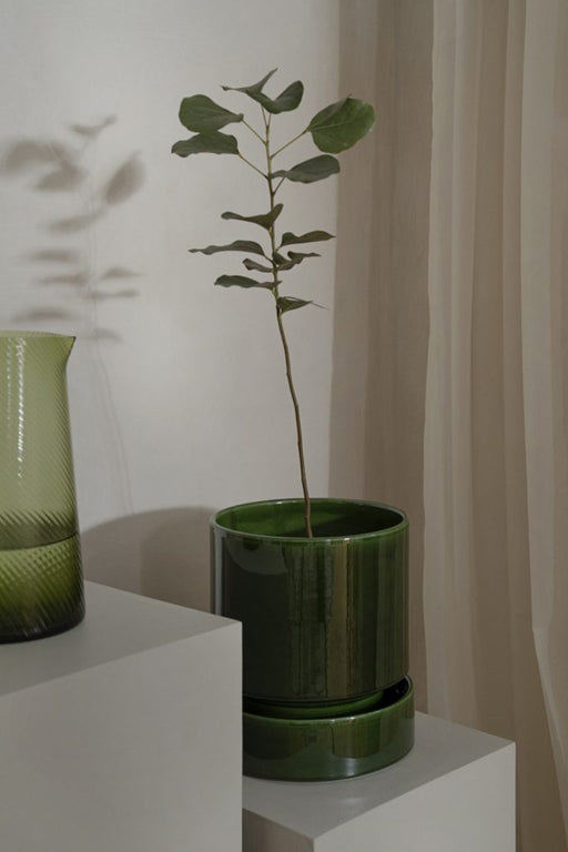 Bergs Potter | Hoff Glazed Collection - 5.5 in-14 cm - Emerald Green - Pot, showcasing Scandinavian design with terracotta and glazed saucer, ideal for plants or candles.