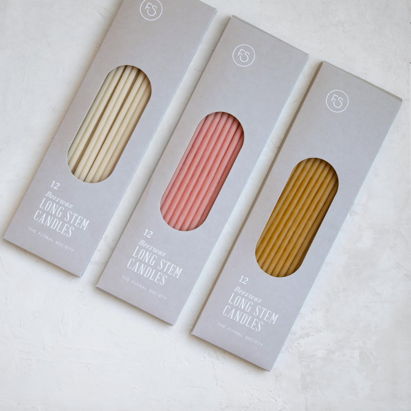 The Floral Society | Long Stem Beeswax Candles, Salt