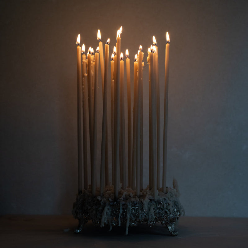 The Floral Society | Long Stem Beeswax Candles, Blossom