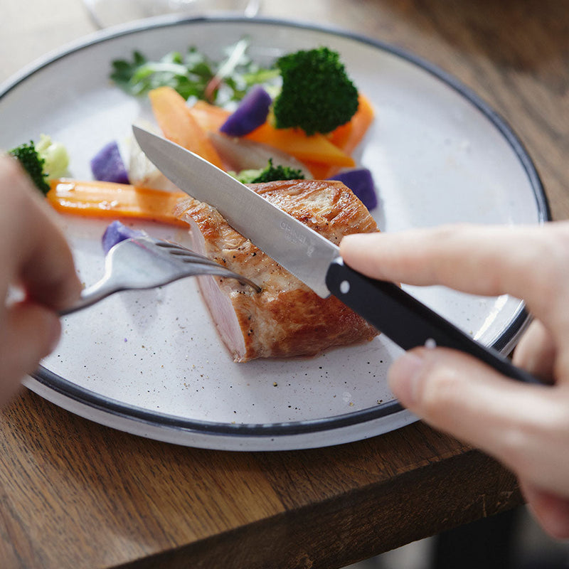 Opinel | Bon Appétit No.125 Steak & Table Knives Sets, Pro