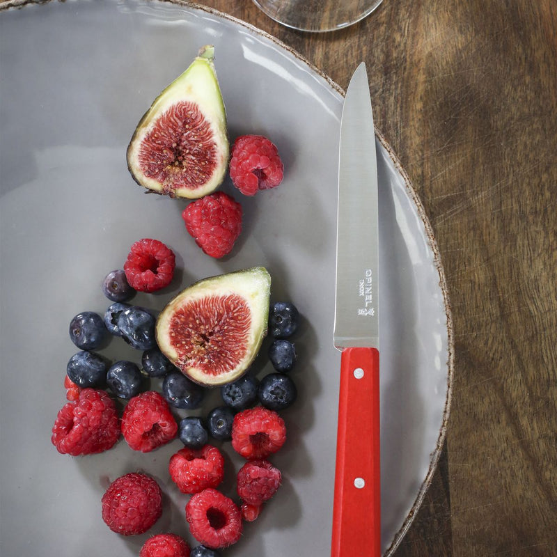 Opinel | Bon Appétit Steak Knives, Sky Blue, beside fruit on a rustic plate; features a sharp stainless steel blade and colorful red handle, ideal for elegant dining.