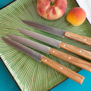 Opinel | Bon Appetit Steak Knives with olive wood handles, displayed on a green platter with stone fruits, highlighting the non-serrated stainless steel blades.