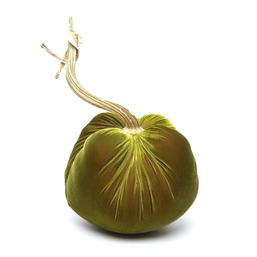 Hot Skwash | Silk Velvet Pumpkin - Bronze - 10: Luxurious handcrafted velvet pumpkin with a unique, naturally sourced stem, adding elegance to any decor.