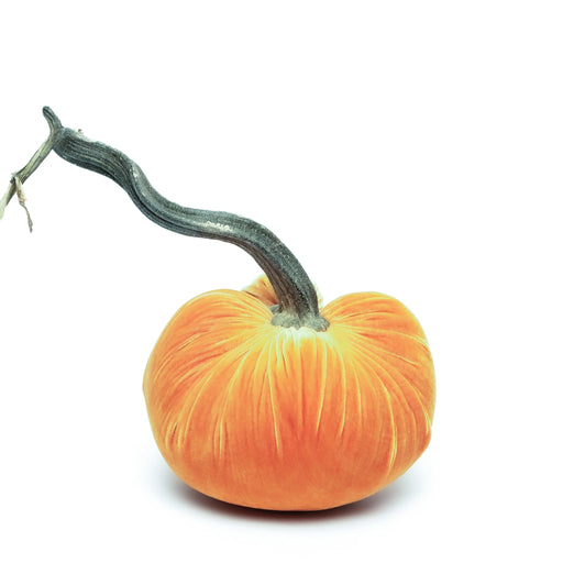 Hot Skwash | Silk Velvet Pumpkin - Bronze - Jumbo Junior features a luxurious velvet finish with a unique, naturally sourced pumpkin stem, handcrafted by artisans in Oregon.