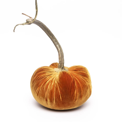 Hot Skwash | Silk Velvet Pumpkins - Bronze - Jumbo featuring a luxurious velvet texture and a unique, naturally sourced pumpkin stem, handcrafted for elegant home decor.
