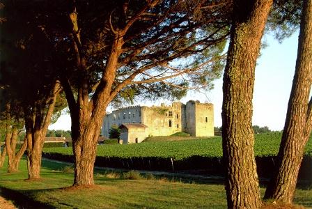 Chateau de Fargues | Sauternes 1994